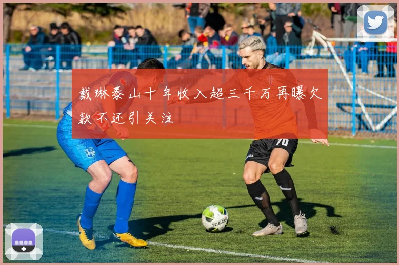 戴琳泰山十年收入超三千万再曝欠款不还引关注