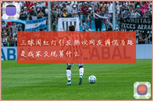 三球闯红灯引发热议网友调侃马路是我家交规算什么