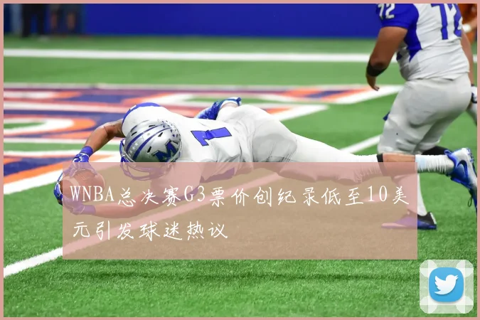 WNBA总决赛G3票价创纪录低至10美元引发球迷热议